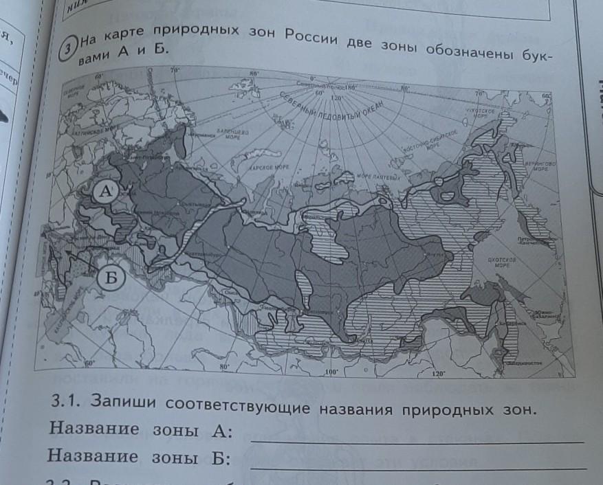 Природные зоны а и б ответы. Карта России две природные зоны. На карте природных зон России две зоны. Запиши соответствующие названия природных зон. Запиши соответствующие названия природных зон название зоны.