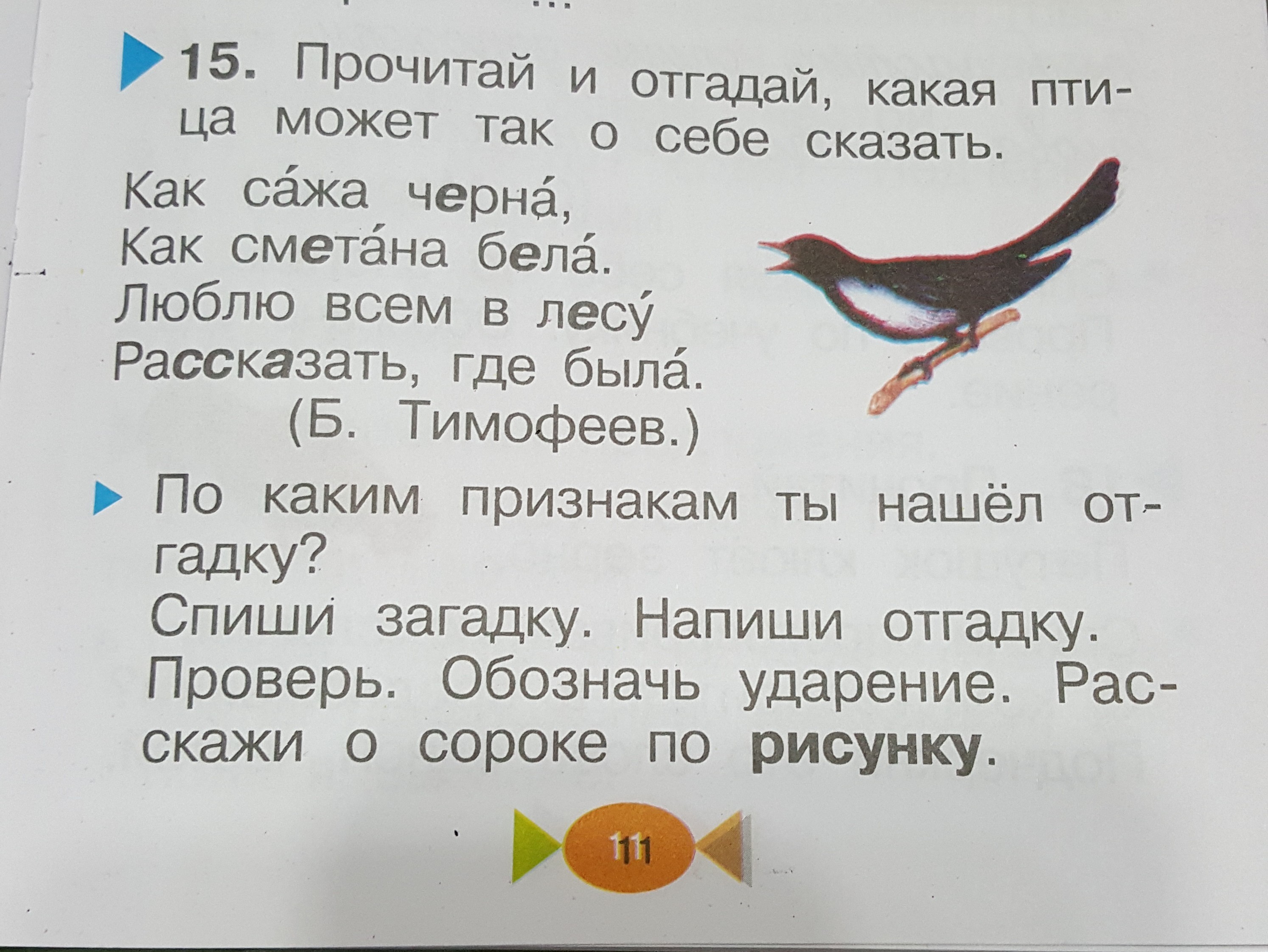 Прочитайте загадку отгадка. Прочитай и отгадай какая птица может так о себе сказать. Прочитайте и отгадайте загадку. Прочитай и отгадай загадку. Прочитайте Найдите загадку.