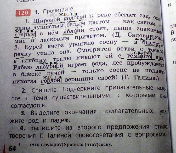 Вопреки запрета дети убежали на речку грамматическая. Прочитайте широкой полосой к реке сбегает сад.