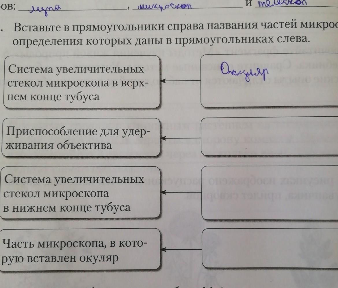 Способ гармонии когда изображение слева подобно изображению справа называется