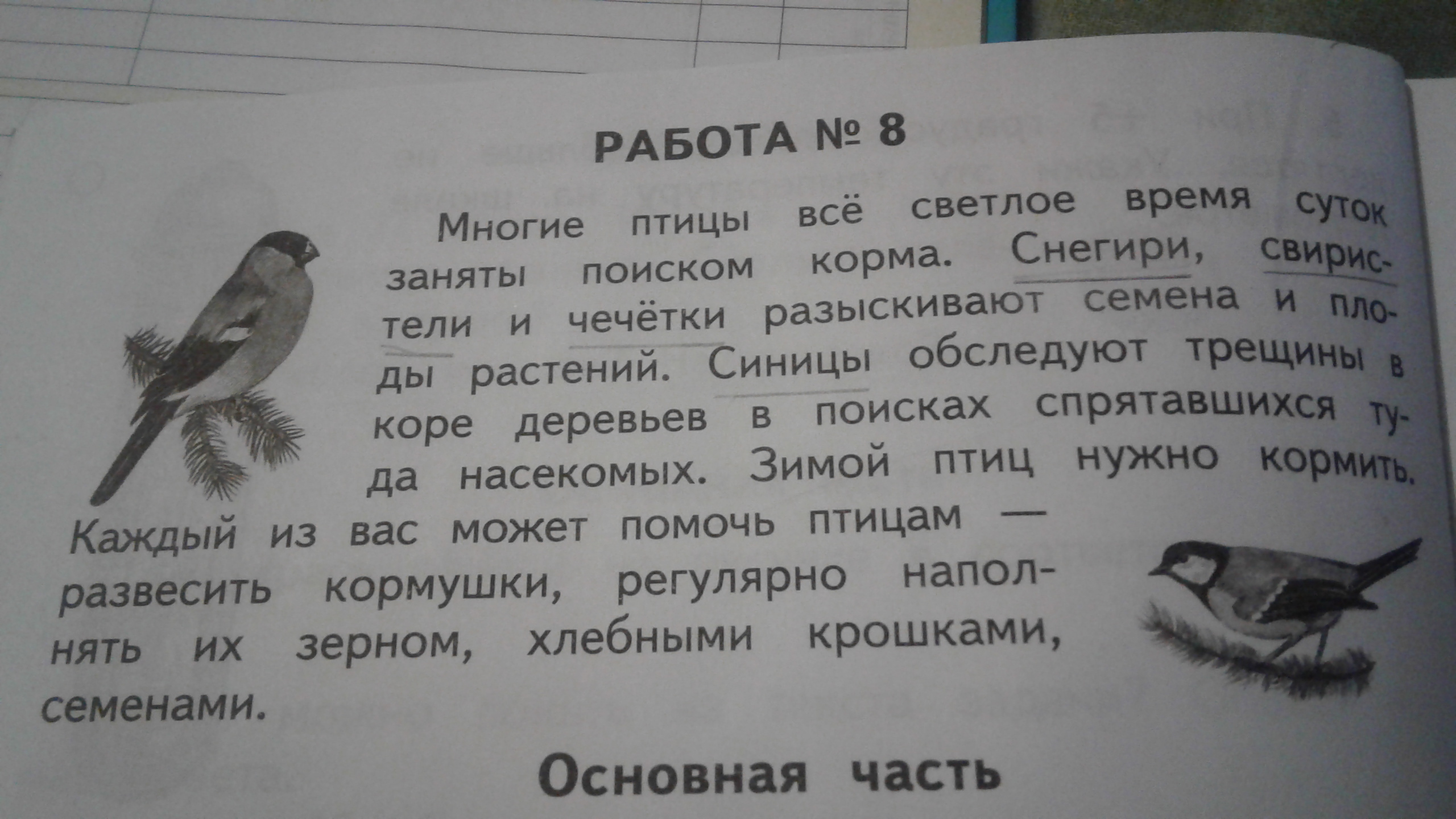 Впр воробей чив и его подружка чука сложили гнездо в щели под карнизом