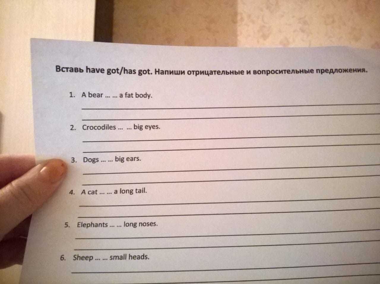 Has got предложение составить вопросительные и отрицательные. Составьте вопросы и запишите их. Составьте вопросы и запишите их. Составьте вопросы и запишите их. Напишите вопросы и отрицательные ответы на них например he is riding a bicycle.