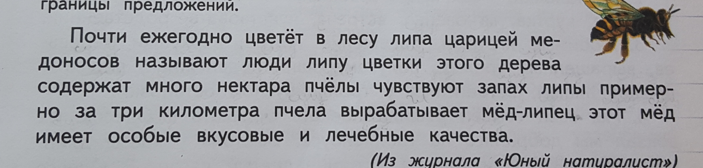 Прочитай найди в тексте и запиши по два слова в каждой схеме