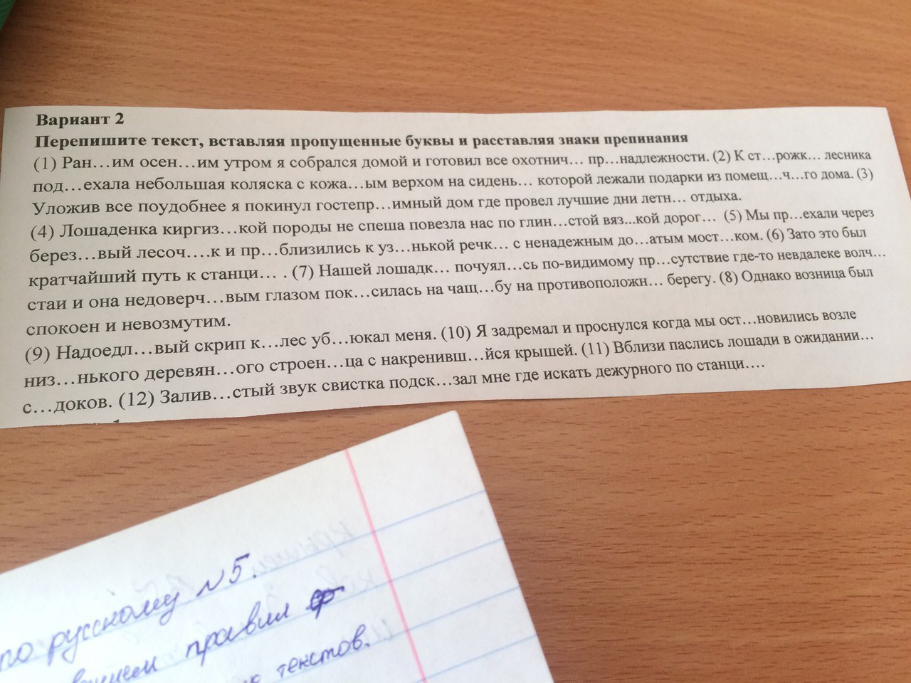 Перепишите текст далеко далеко. Вставить буквы и запятые 11 класс. Вставить буквы и запятые 9 класс. Текст переписать 9 класс. Шестого класса вставить буквы текст и запятые.