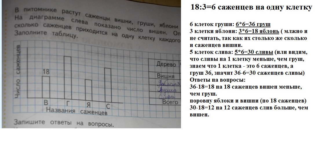 В питомнике растут саженцы вишни груши яблони и сливы на диаграмме