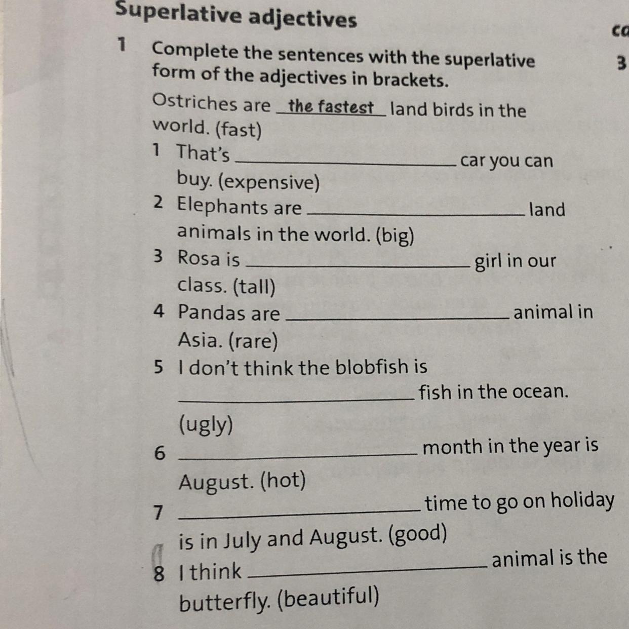 Adjectives in brackets