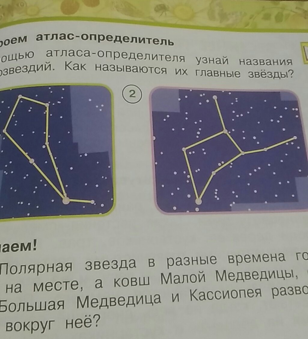 Атлас определитель созвездий орион