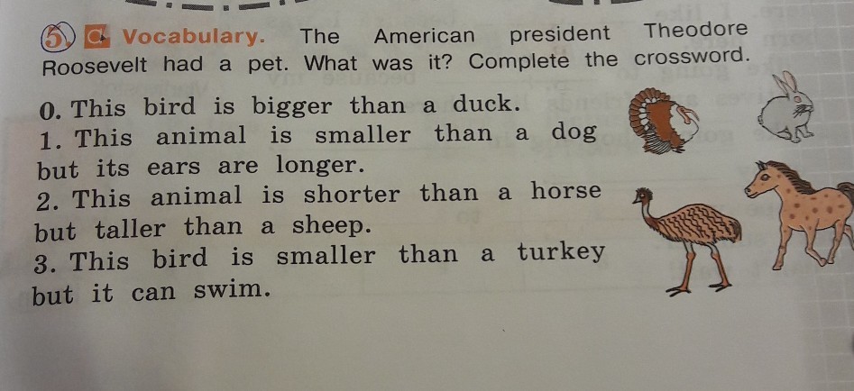 This animal is big. Complete the crossword with the animals Диснеевские животные. This is животные. A Horse is an animal-перевод. Bird-Dog перевод.