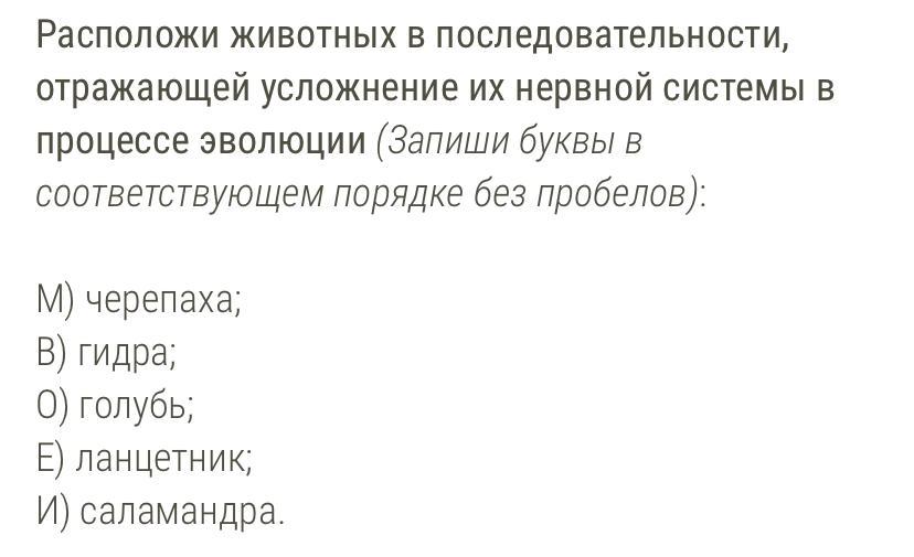 Усложнения для игры я