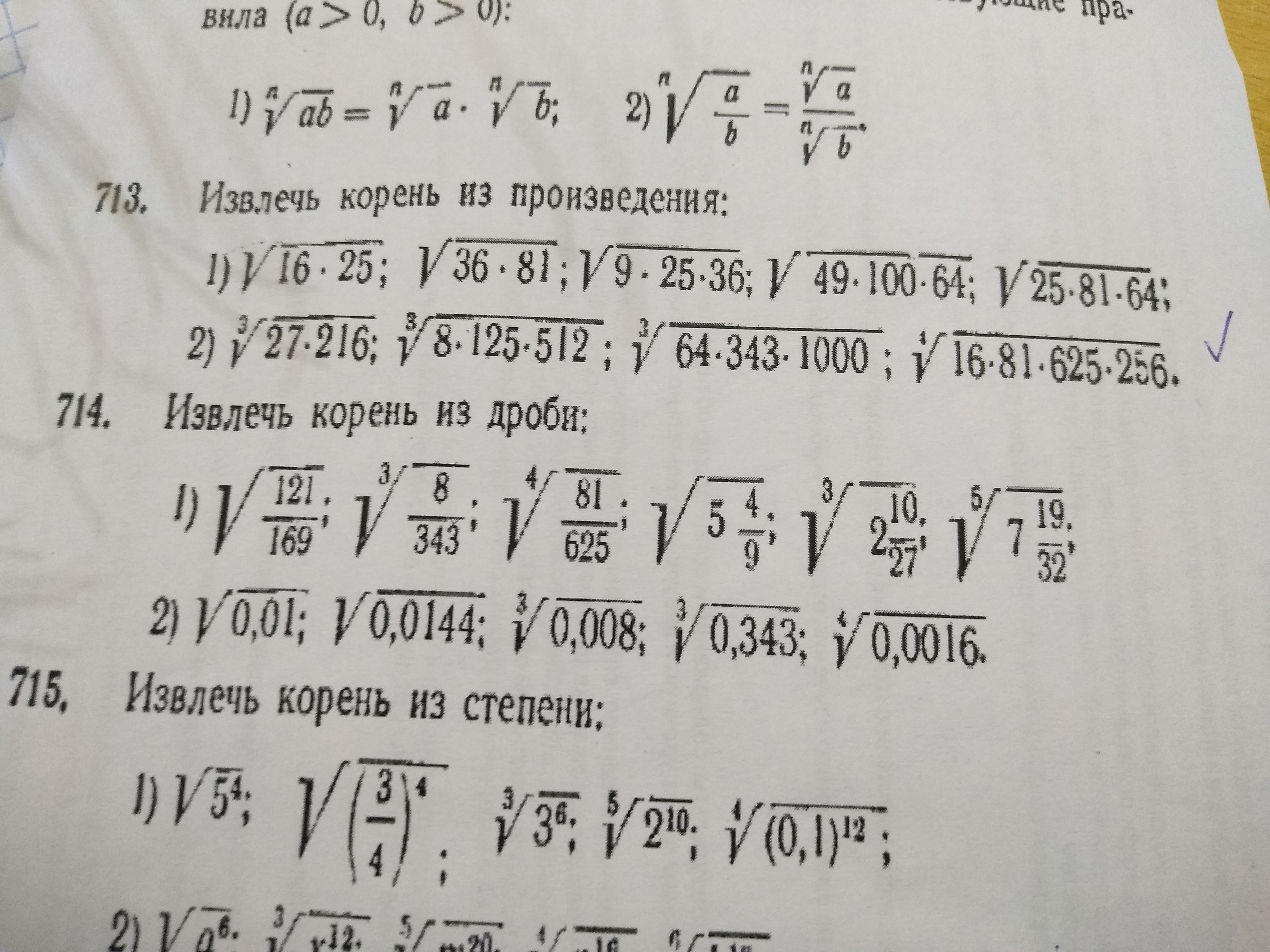 ЕДИНИЧНЫЙ КОРЕНЬ photos