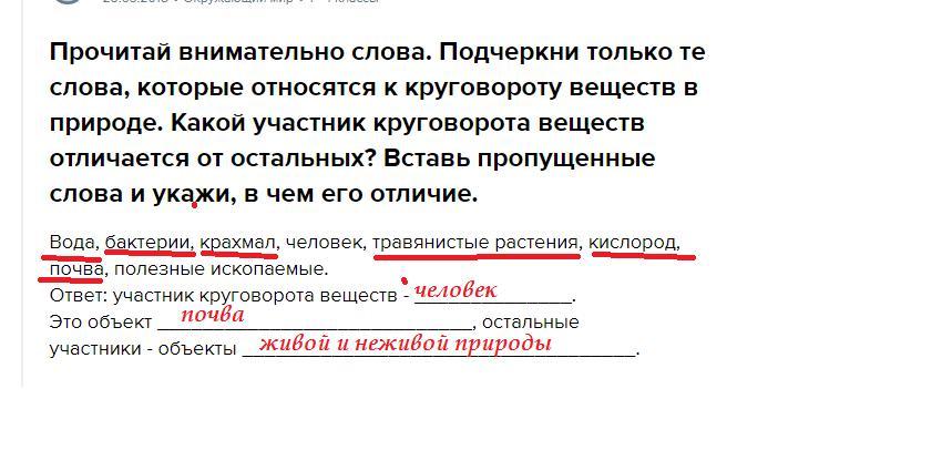 Внимательно текст. Отнеситесь внимательно к тексту. Значение слова внимательный. Слова из слова круговорот.