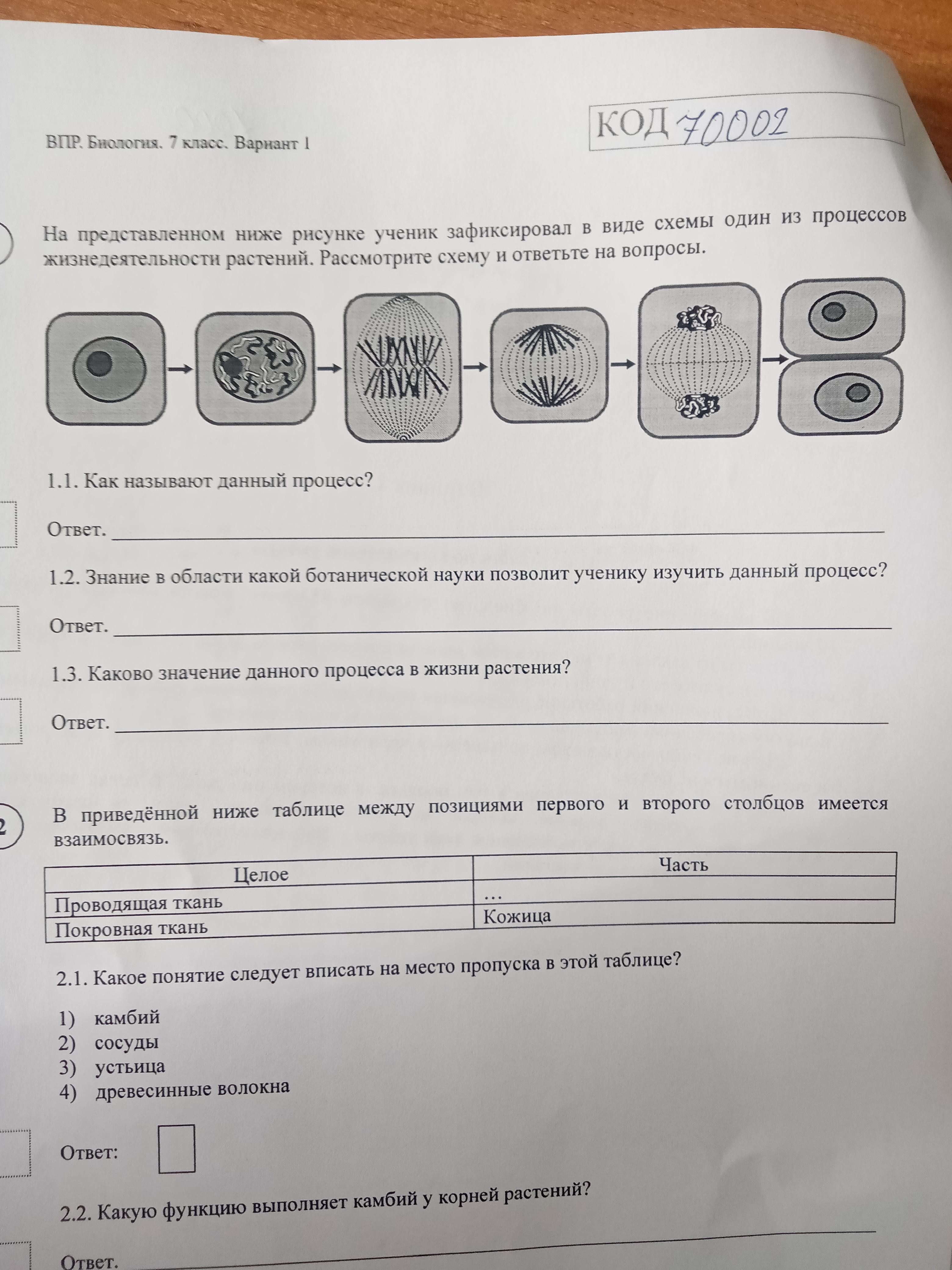 Укажи название изображенного на рисунке процесса жизнедеятельности растений скайсмарт ответы