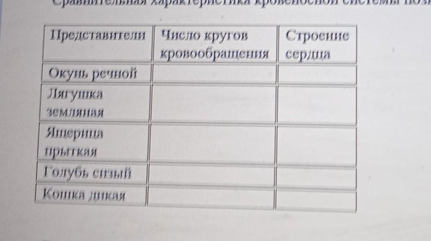 Окунь речной число кругов кровообращения строение сердца. Голубь сизый число кругов кровообращения строение сердца. голубь сизый число кругов кровообращения. отделы тела речного окуня и прудовой лягушки таблица. особенности внешнего строения речного окуня и прудовой лягушки.