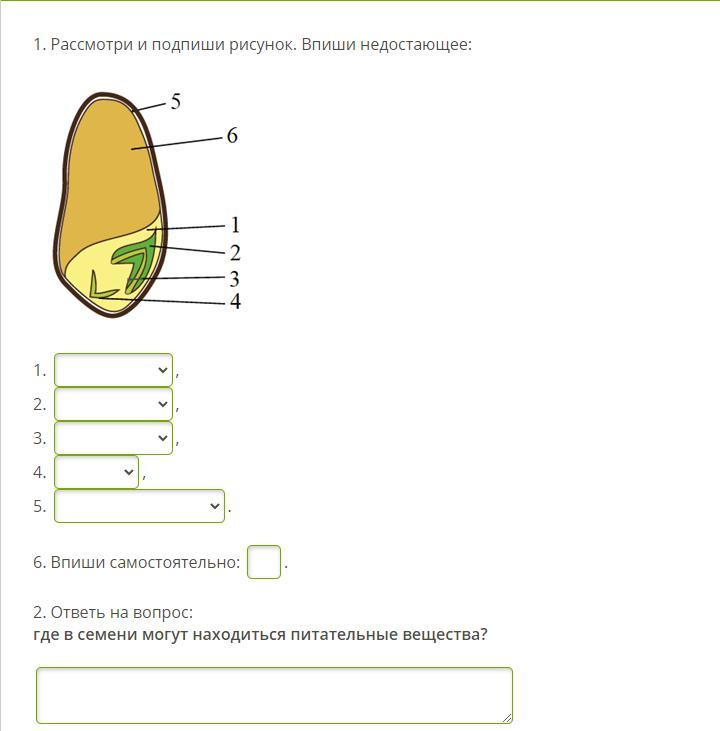 Подпиши рисунок и ответь на вопрос