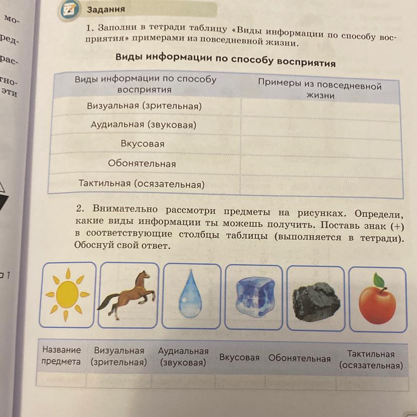 Заполните таблицу следующими видами информации визуальная. Виды информации по способу восприятия примеры из повседневной жизни.