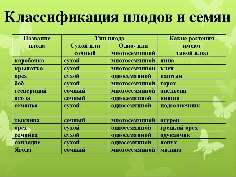 Список це. Характеристика плодов таблица биология 6 класс. Плоды сухие и сочные односемянные и многосемянные таблица. Таблица Тип плода название плода название растения. Плоды классификация таблица.