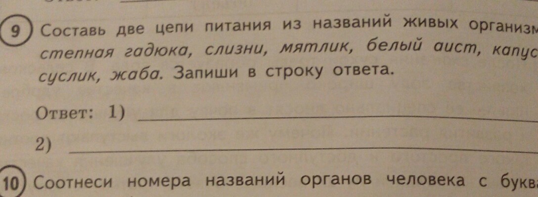 Составьте две цепи. Цепь питания СЛИЗЕНЬ капуста жаба. Цепь питания суслик гадюка. Составить цепь питания жаба капуста СЛИЗЕНЬ. Составить цепочку питания жаба капуста.