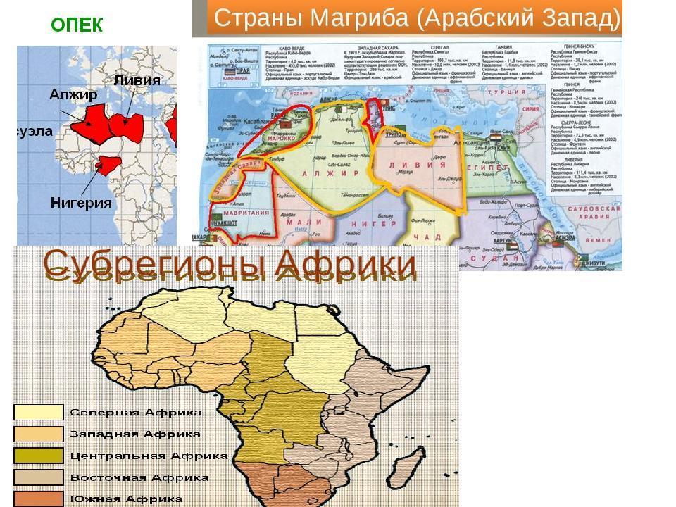 Магриба страны входящие. Союз арабского Магриба на карте Африки. Медный пояс Африки государства. Страны Магриба. Медный пояс Африки.