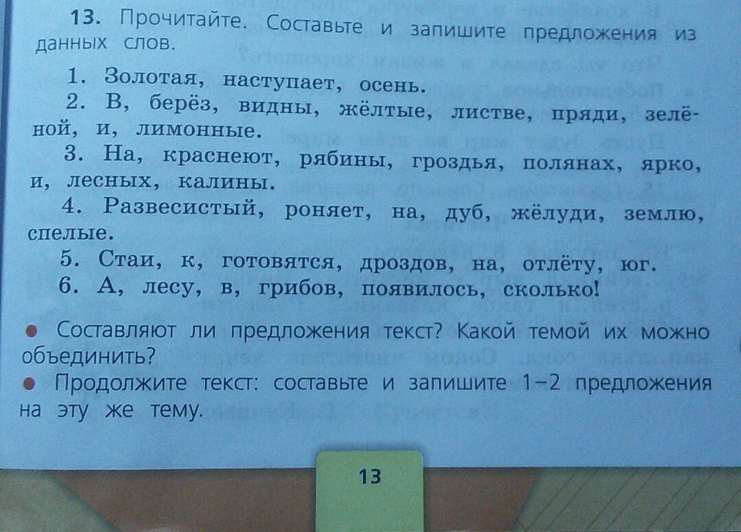 Участок номер 13 содержание