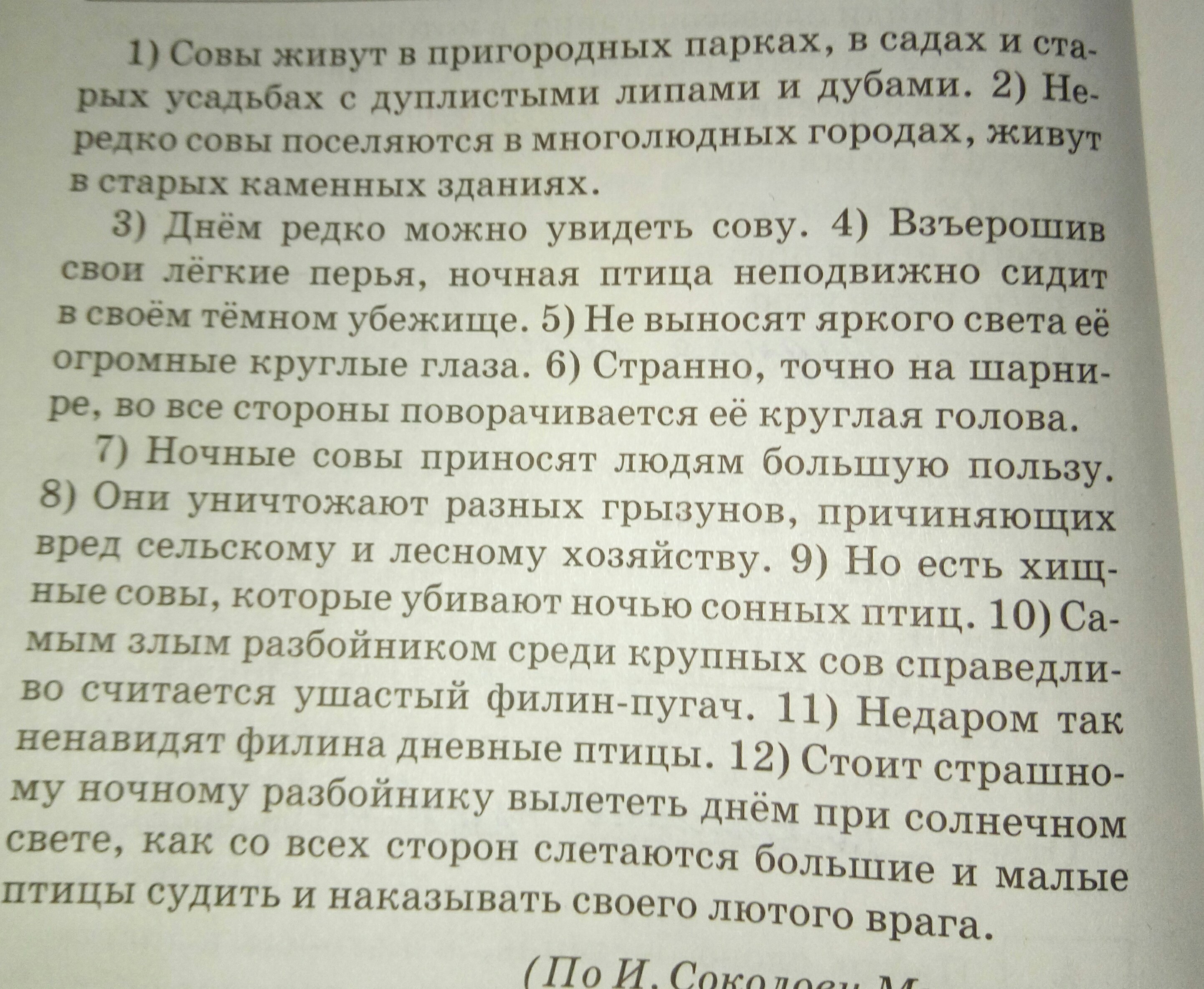Асе текс