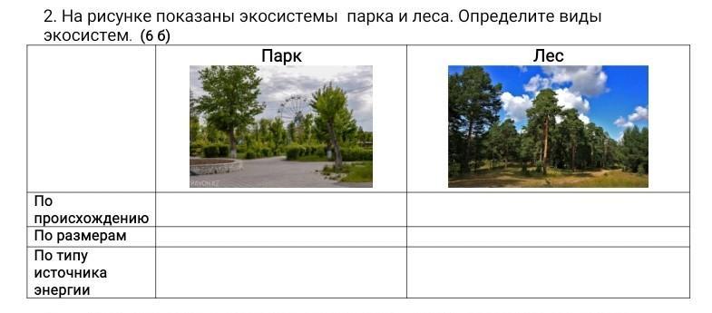 Сравнение б. Агроэкосистема парка рисунок. Экосистемы типы по масштабу. Различают типы изображений:. Тип экосистемы парка Швейцария.