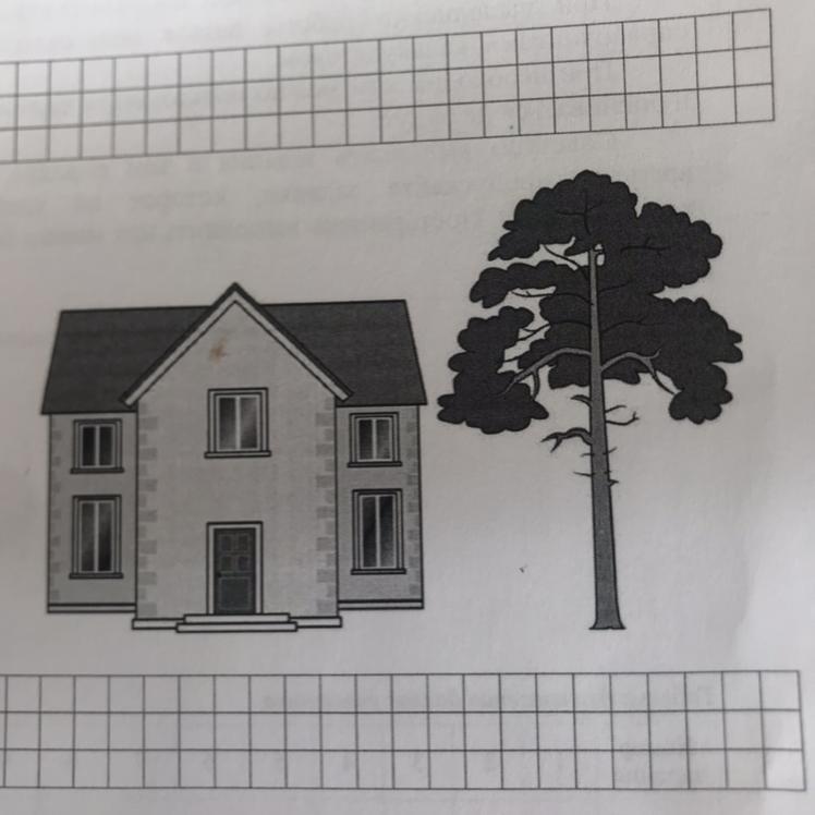 На рисунке изображены здание и стоящее рядом дерево высота дерева 10 м
