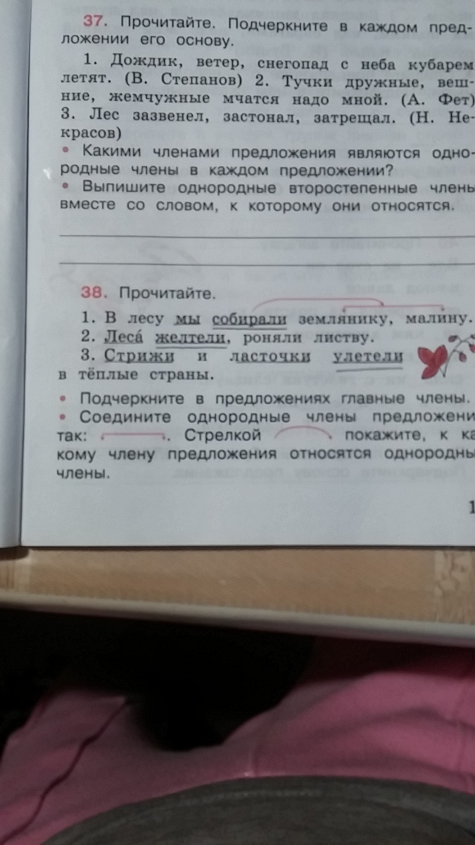 Прочитай подчеркни в каждом предложении грамматическую. Подчеркните в каждом предложении грамматическую основу. Прочитай подчеркни в каждом предложении грамматическую. Русский рабочая тетрадь канакина стр 14. Гимн новосибирска.