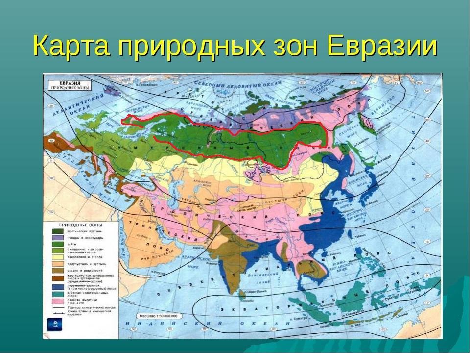 Заполните таблицу с помощью карты евразии. Заполните таблицу с помощью карты евразии