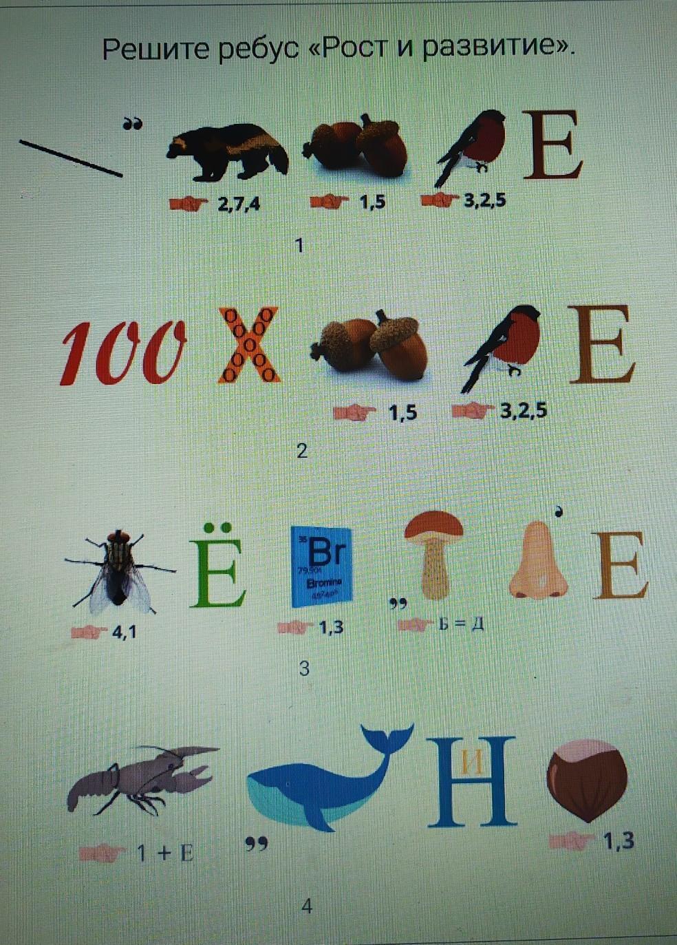 Решение ребусов по фото