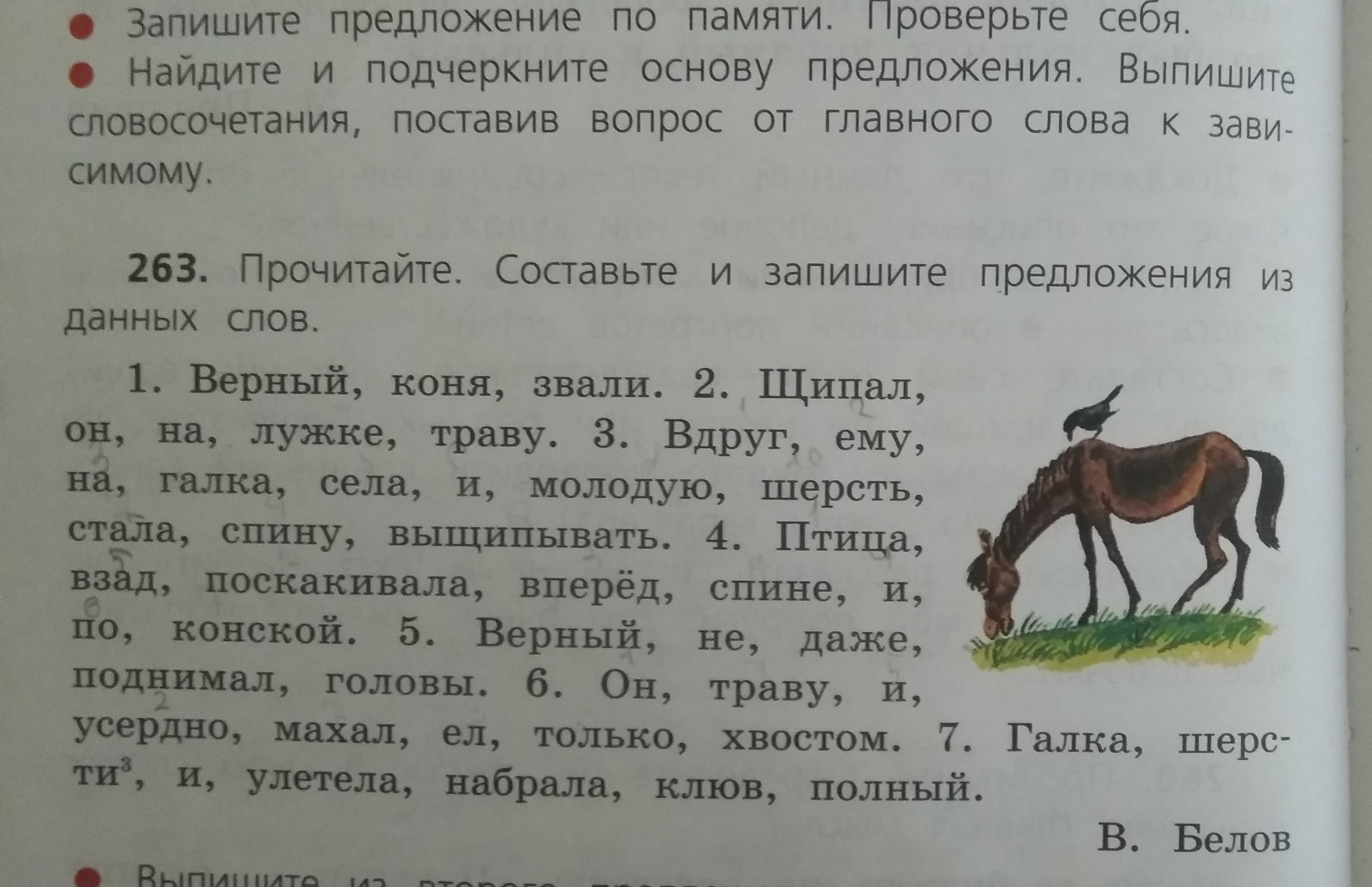 Предложи последний. Коня звали верный. Конь 2 предложения. Конь верный Белов. Верный коня звали щипал он на лужке траву вдруг ему на Галка села.