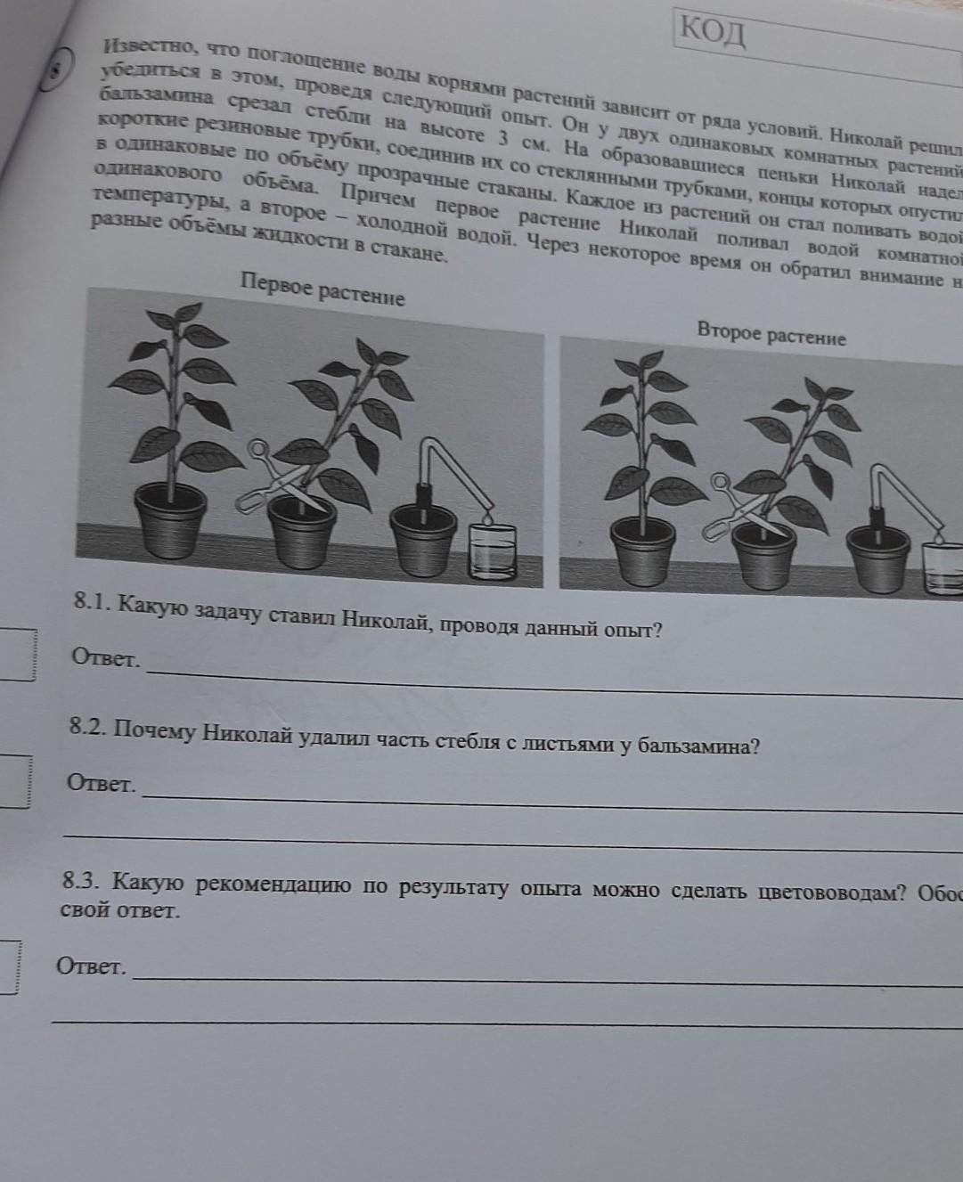 Какую задачу ставил валерий помещая растение и стакан с растворенной пищевой солью в темный шкаф