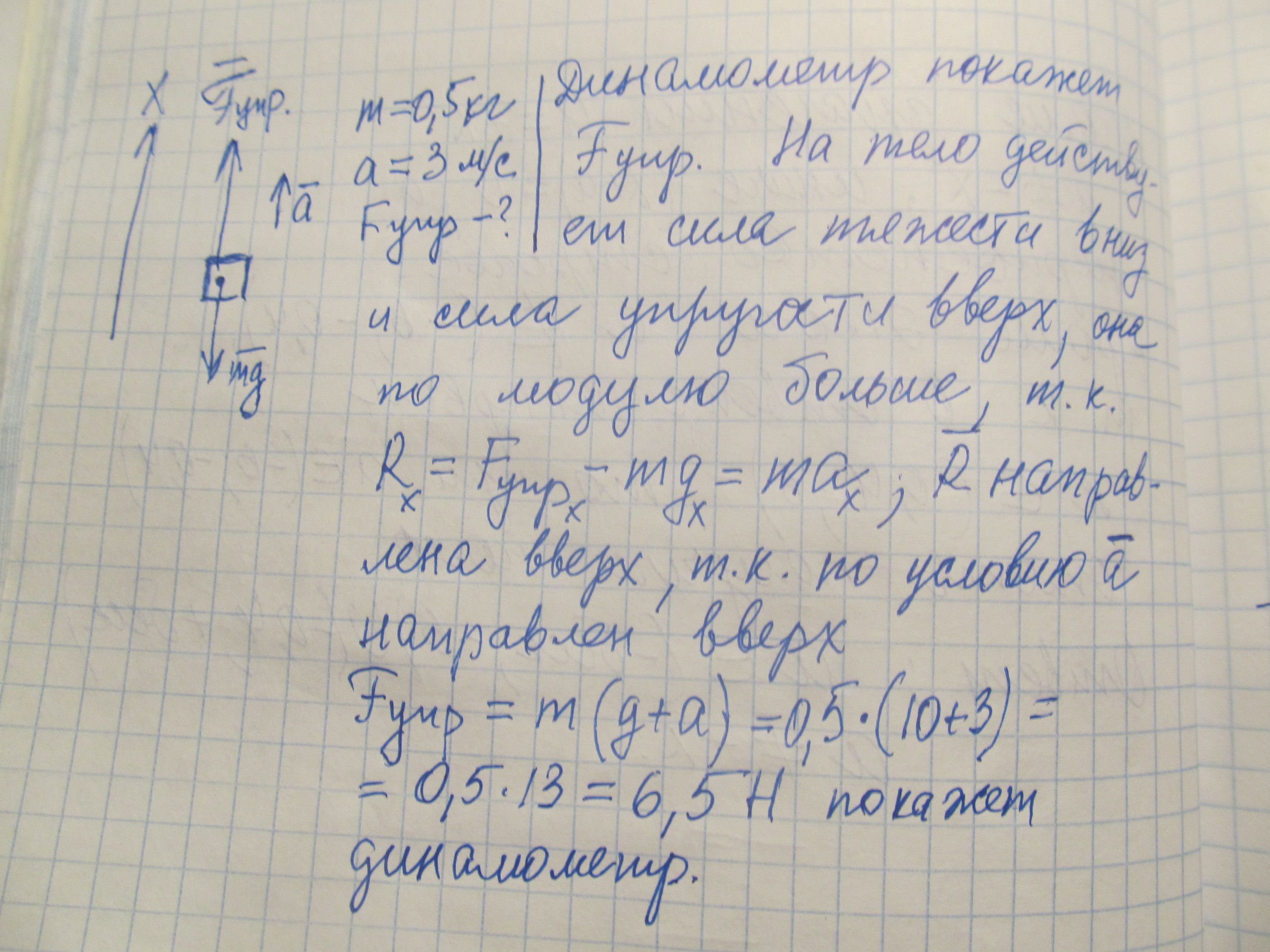 Весом 1 5 кг. Белка массой 0.5 кг сидит на абсолютно гладкой обледенелой. Белка массой 0 5 сидит на абсолютно. Белка массой 0 5 килограмм сидит на абсолютной гладкой потемнелой. Белка массой 0.5 кг сидит на абсолютно гладкой с рисунком.