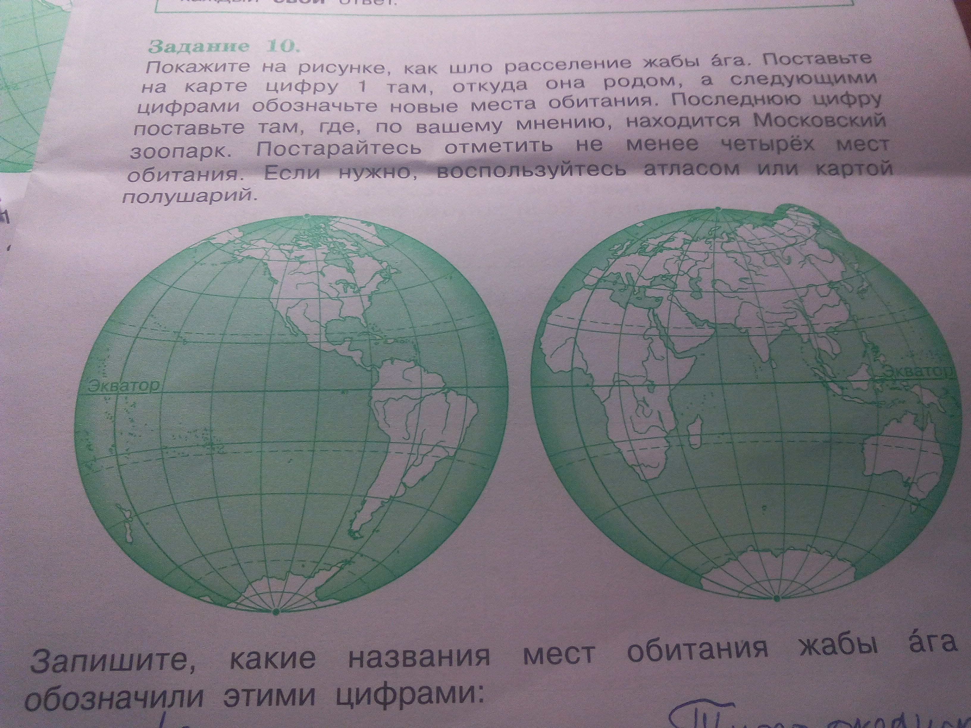 Покажите на рисунке как шло расселение жабы ага поставьте на карте