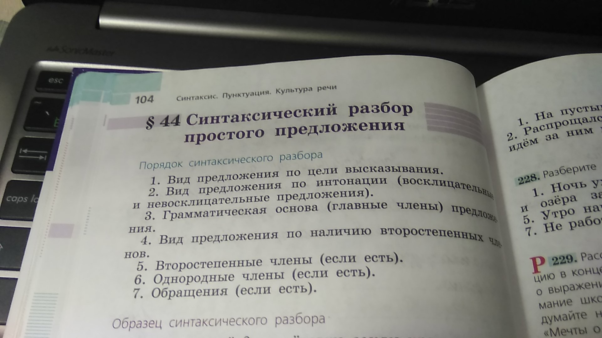 Ребята вы видели когда нибудь вековые могучие корабельные сосны синтаксический разбор схема