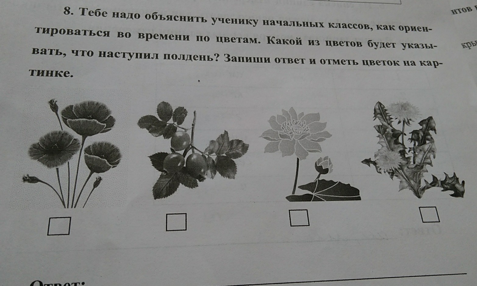 Тест какой ты цветок. Как ориентироваться во времени по цветам. Как ориентироваться во времени по цветам изложение 5 класс. Как ориентироваться во времени по цветам сочинение. Свободное изложение как ориентироваться во времени по цветам.