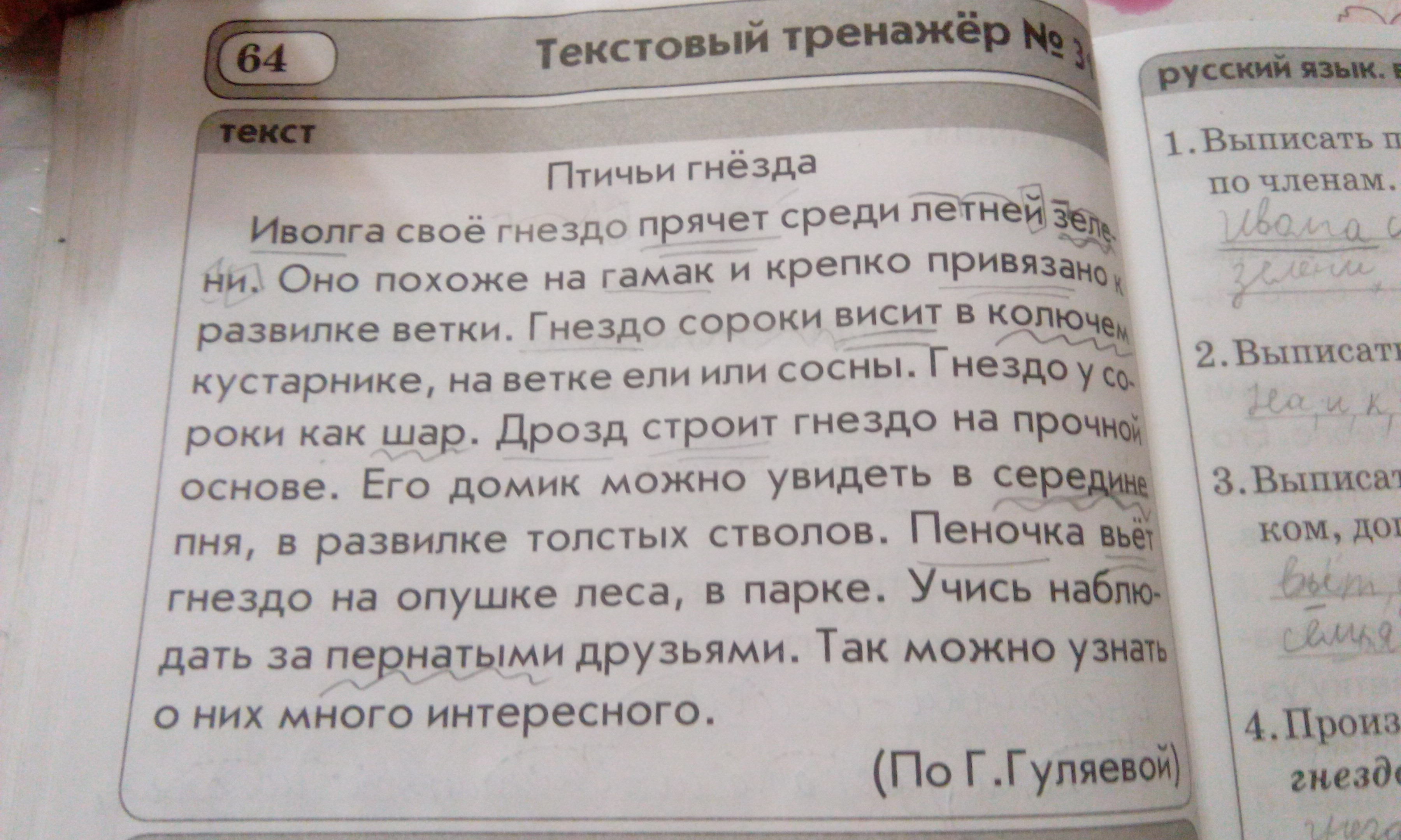 Выпишите из текста имена участников. Выписать предлоги из текста Иволга птичьи гнезда. Текстовый тренажёр 2 класс птичьи гнёзда. Выписать предлоги из текста Иволга свое гнездо. Иволга свое гнездо прячет среди летней зелени разбор по членам.