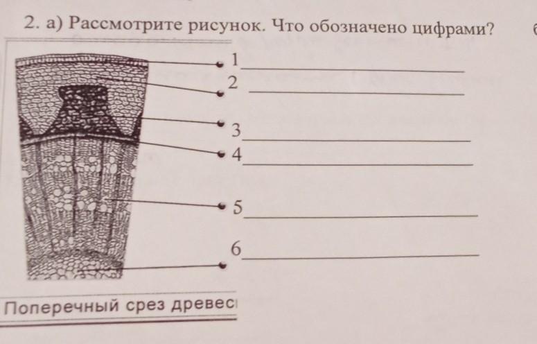 На рисунке 7 цифрами обозначены