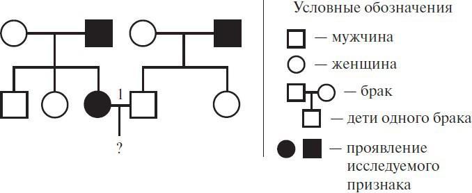 По изображенной на рисунке родословной определите вероятность. По изображенной на рисунке родословной. По изображенной по рисунку родословной. Вычисление вероятности в родословной. Родословные в браке.
