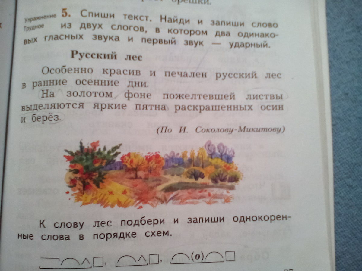 К слову лес подбери и запиши однокоренные слова в порядке схем 3 класс