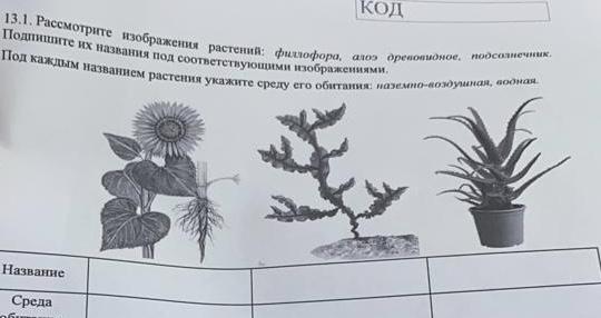 209 рассмотрите рисунок определите тему