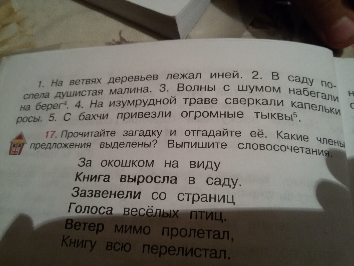 Прочитай текст каким членом предложения. Загадка за окошком на виду книга выросла в саду. Ветер мимо пролетал книгу всю перелистал. За окошком на виду книга выросла в саду найти словосочетания.