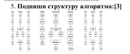 Подпиши структуры. Подпиши структуры