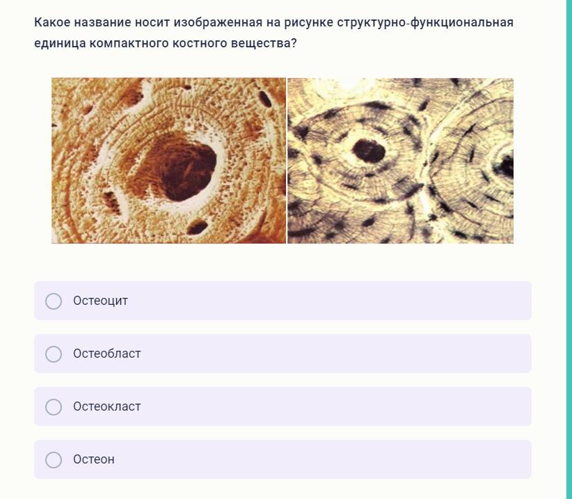 Где результаты по биологии