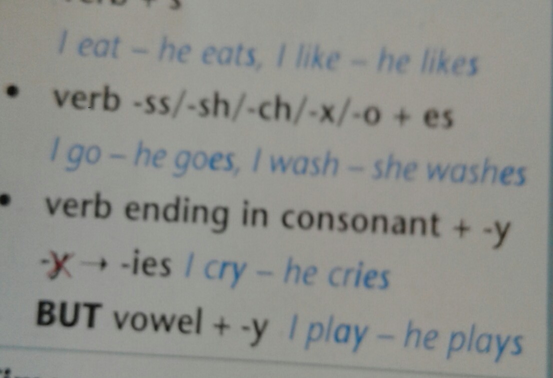 L say like. Write the 3rd person singular. Write the 3rd person 2 singular. 1 I Love - he Loves 2 i leave 3 i watch 4 i Run 5 i say 6 i work Module 5 7 i go 8 i Wash. Write the third person singular 1 i go-he 2.l Play.