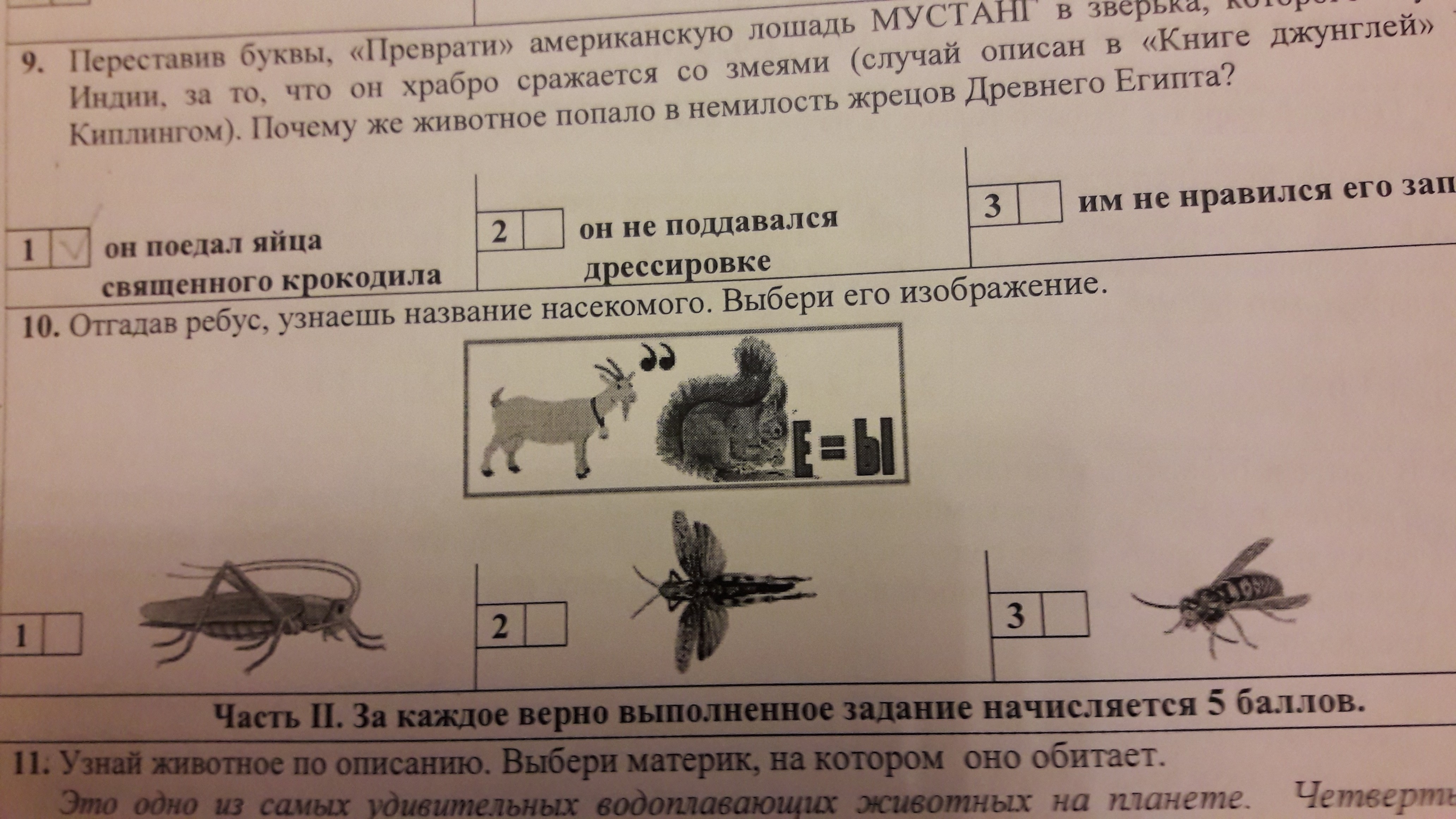 Найдите все возможные решения ребуса орлан. Ребус к слову принтер. Ребусы к занятиям ПДД. Способы движения животных решите ребус рост и развитие ответы. Составь ребус отгадкой которого будет слово вершина.