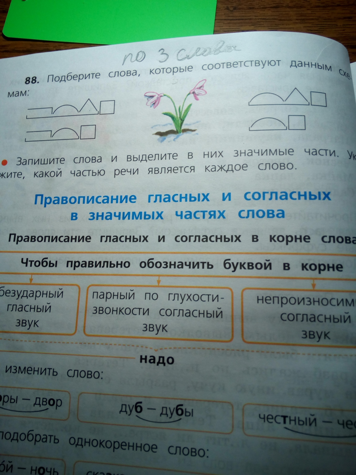 К данным схемам подобрать и записать слова и указать части речи