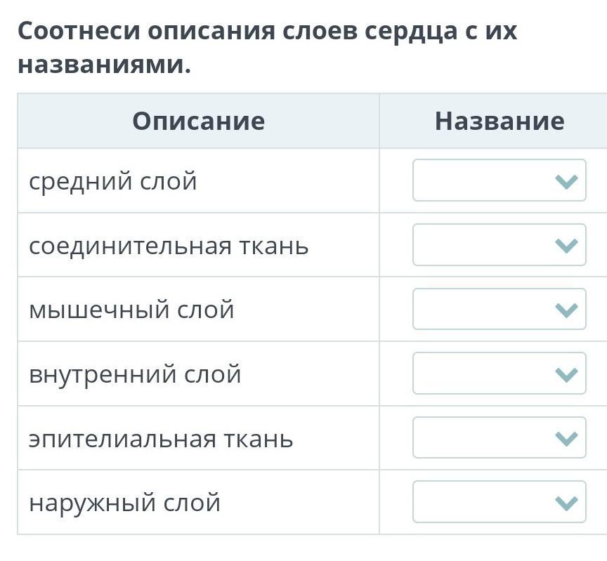 Соотнесите название норм с их содержанием морфологическая. Соотнесите название норм с их содержанием морфологическая