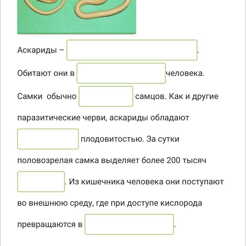 Особенности аскариды