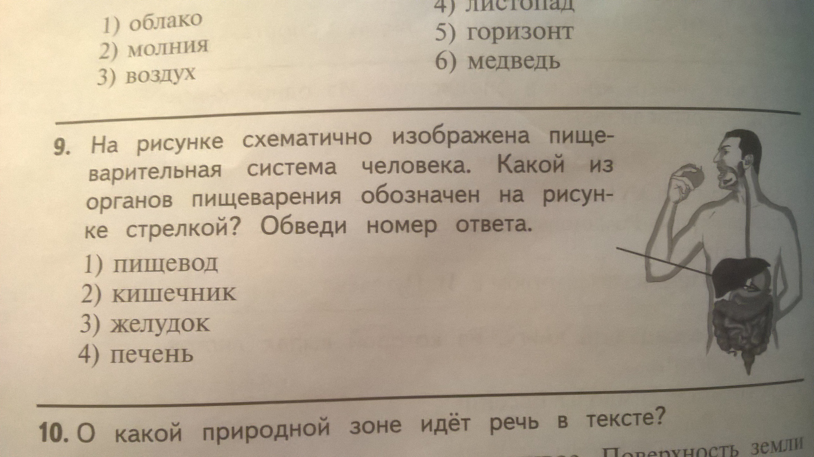 Отличия номер 9. Черты сходства и черты отличия. Черты сходства традиционного и индустриального общества. Отличия номер 9. Отличия номер 9.