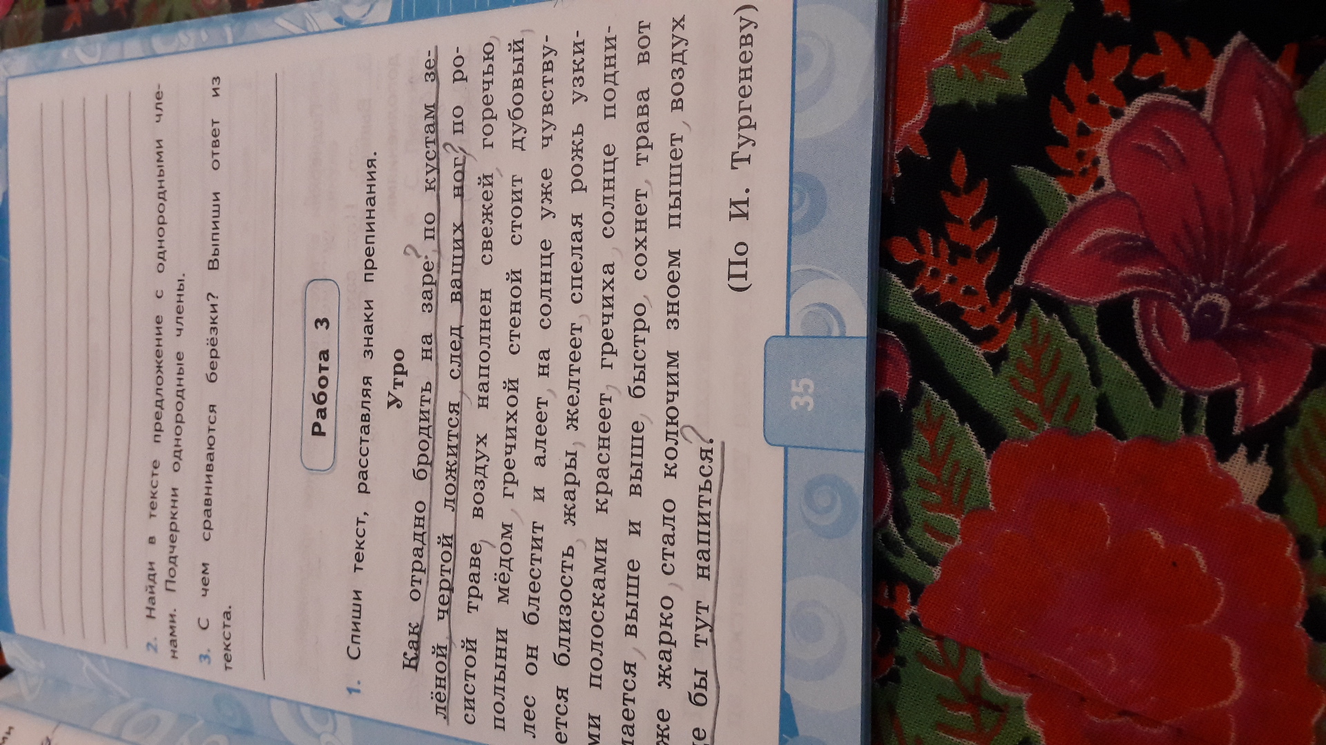 утро тургенев как отрадно бродить на заре по кустам. летнее июльское утро зеленой чертой ложится след ваших ног. кто испытывал как отрадно на заре по кустам. июльское утро. хрестоматия 3 класс литературное чтение.
